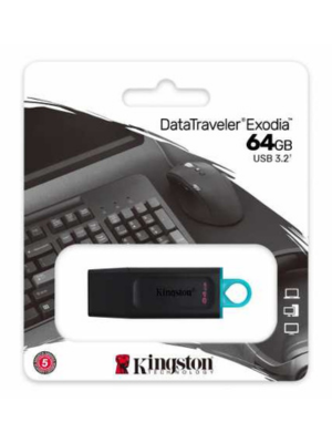 Clé USB Kingstone DataTraveler 64 Go